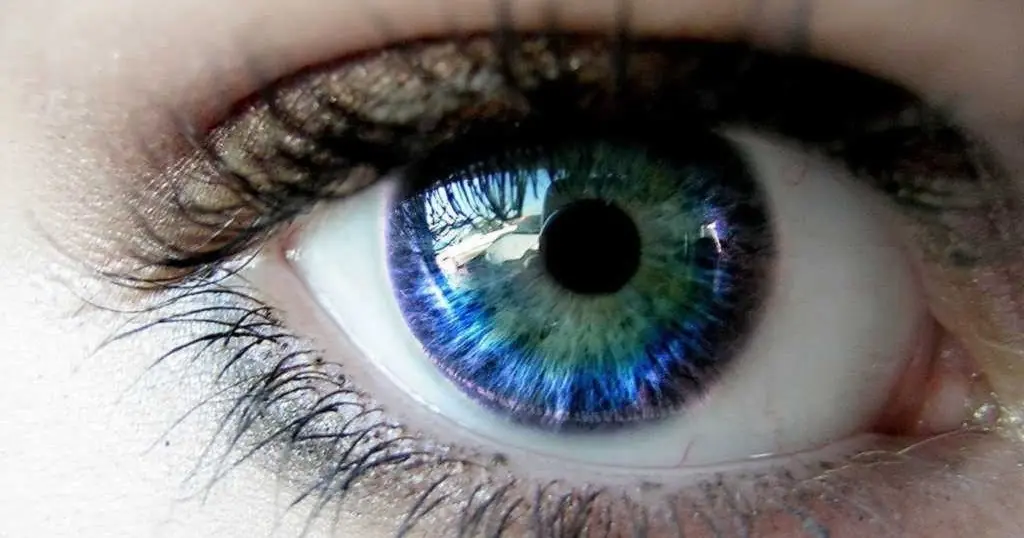 ojo