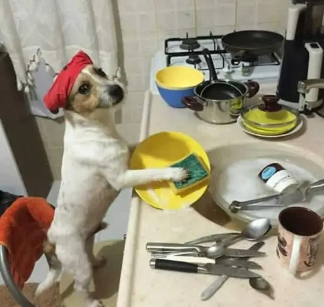 imagenes de humor