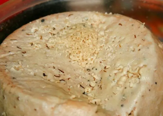 Las 10 comidas más bizarras y asquerosas del mundo!