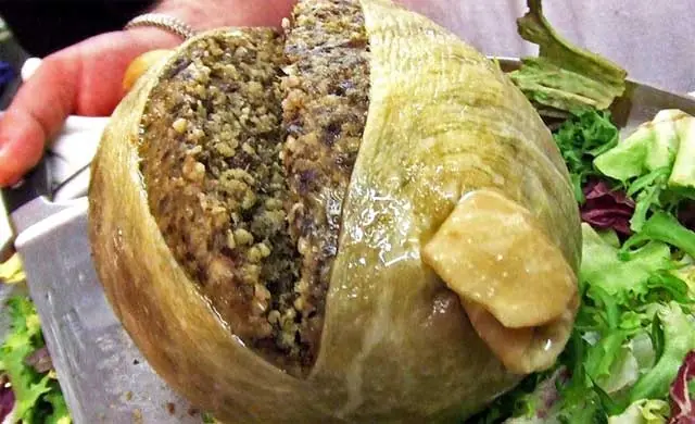 Las 10 comidas más bizarras y asquerosas del mundo!