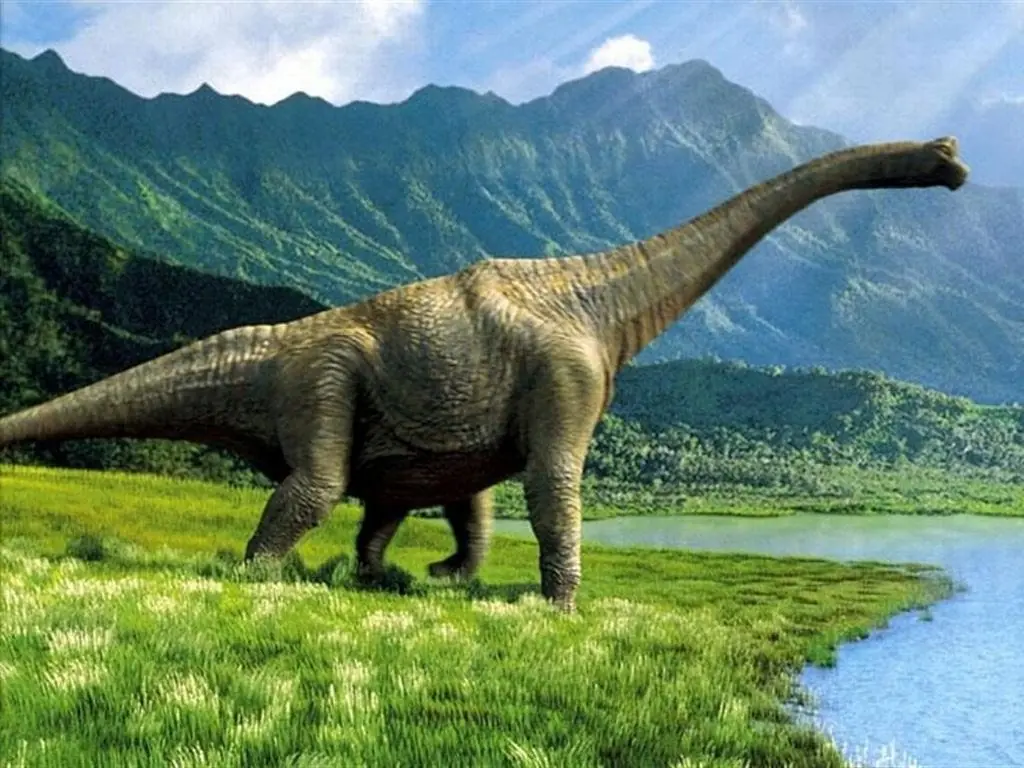 extincion extincion