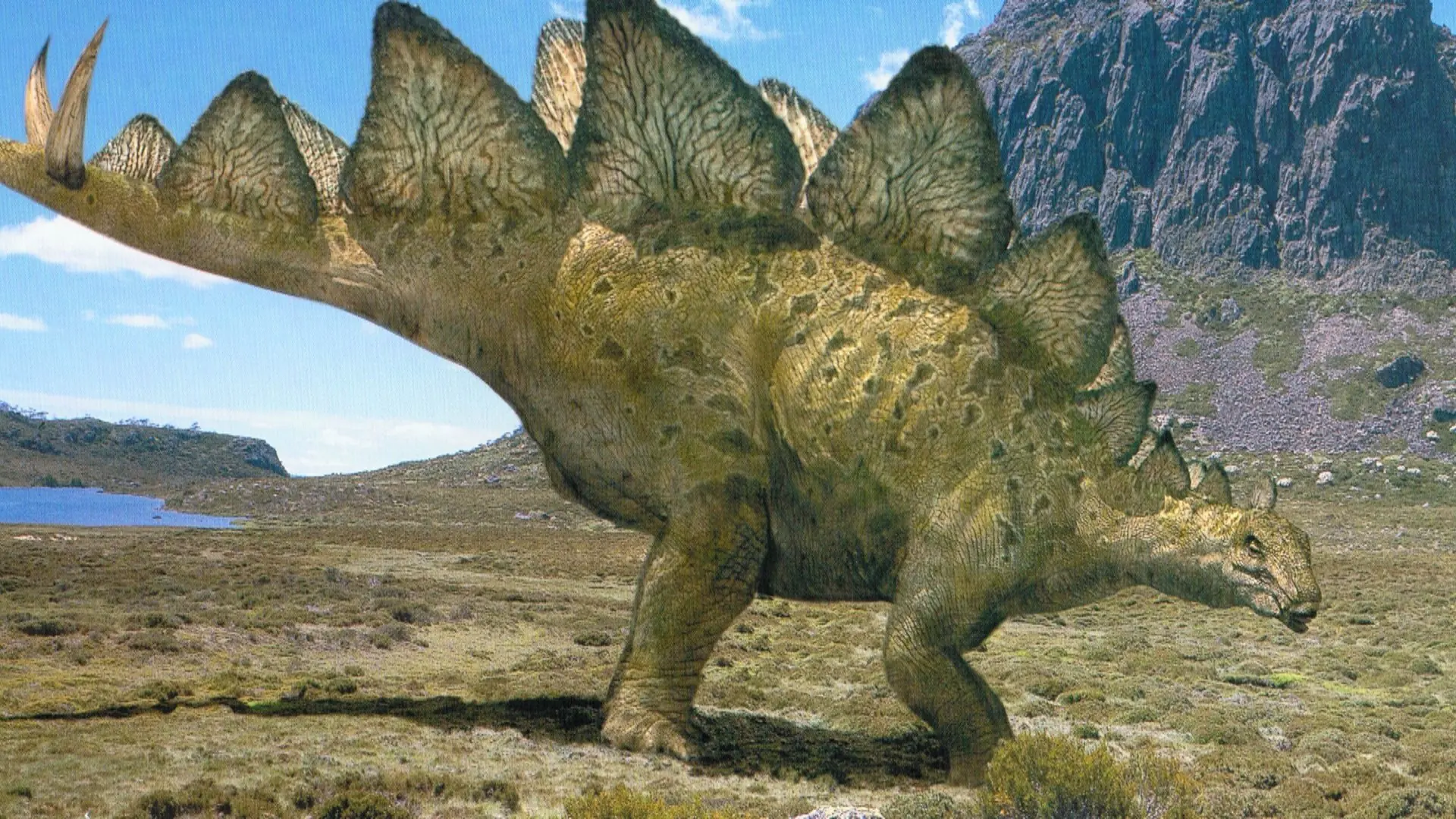 Dinosaurios Dinosaurios