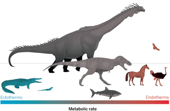 extincion extincion