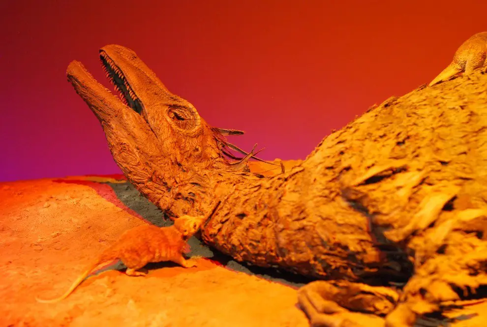 Los 10 más grandes misterios sobre los dinosaurios Los 10 más grandes misterios sobre los dinosaurios