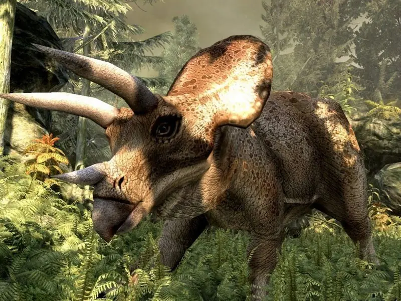 Los 10 más grandes misterios sobre los dinosaurios Los 10 más grandes misterios sobre los dinosaurios