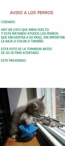 cosas cosas