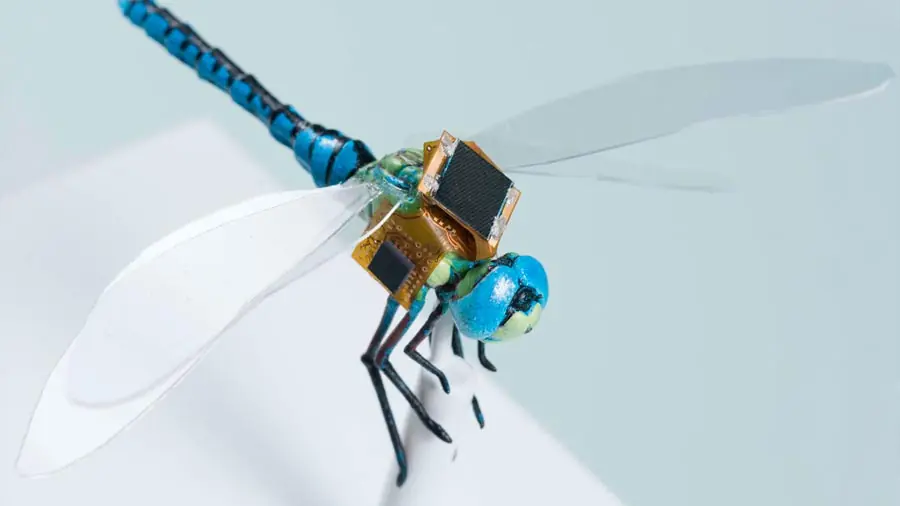 Crean la primera libélula cyborg