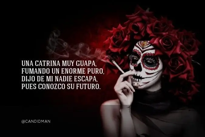tradicion tradicion