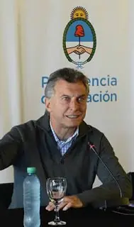 ¿Por qué los CEOs son tan malos politicos?