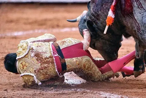 Torero recibe cornada en la región ano-rectal