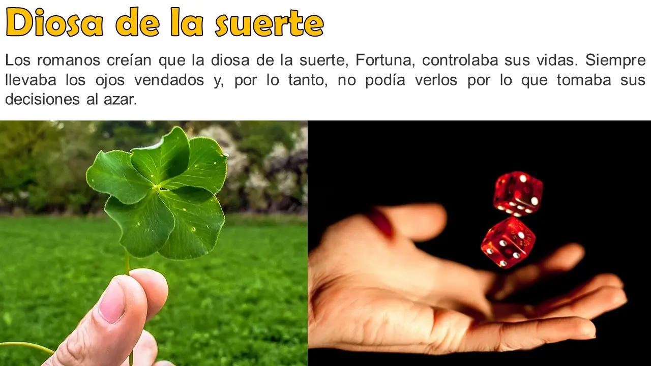 educacion