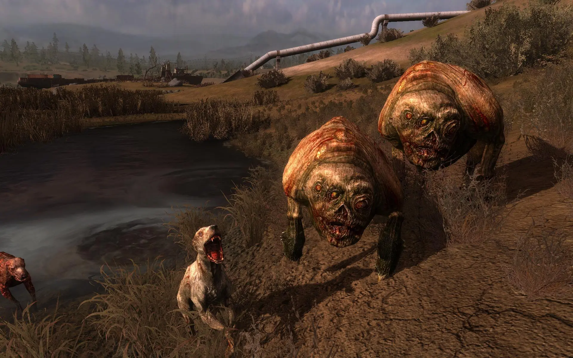 S.T.A.L.K.E.R. cumple 10 años, hagamoslo top. S.T.A.L.K.E.R. cumple 10 años, hagamoslo top.