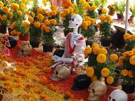50 Frases del Día de Muertos. #México