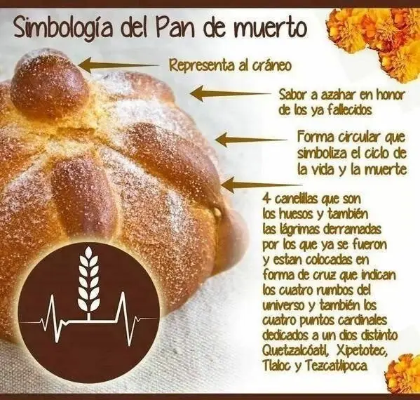 frases frases