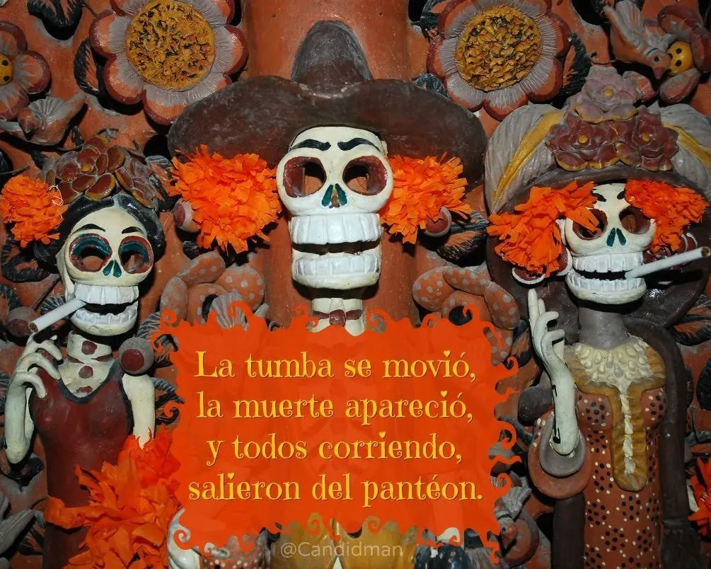 frases frases