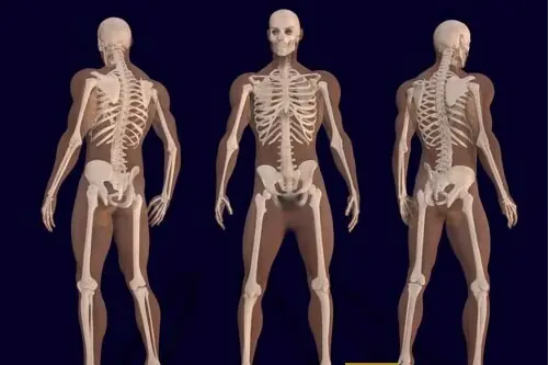 Hechos asombrosos sobre el cuerpo humano que no conocías Hechos asombrosos sobre el cuerpo humano que no conocías