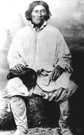 Pacificacion de la Araucania