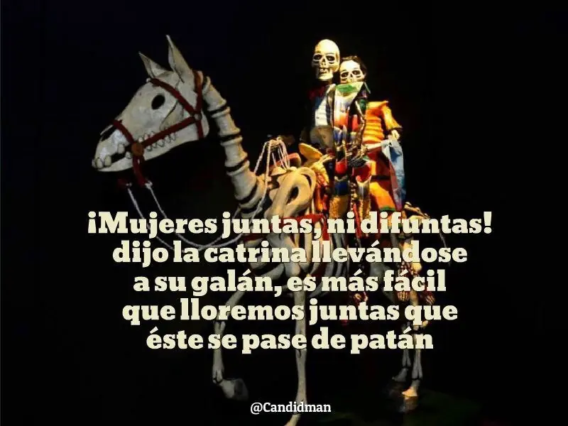 frases frases