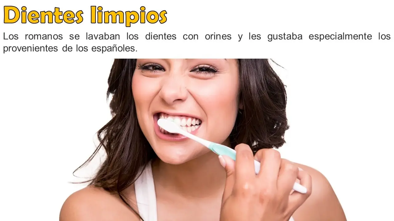 educacion