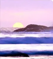 ¿Por qué .. ? (Megapost)