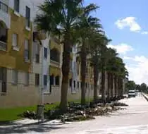 ¿Por qué .. ? (Megapost)