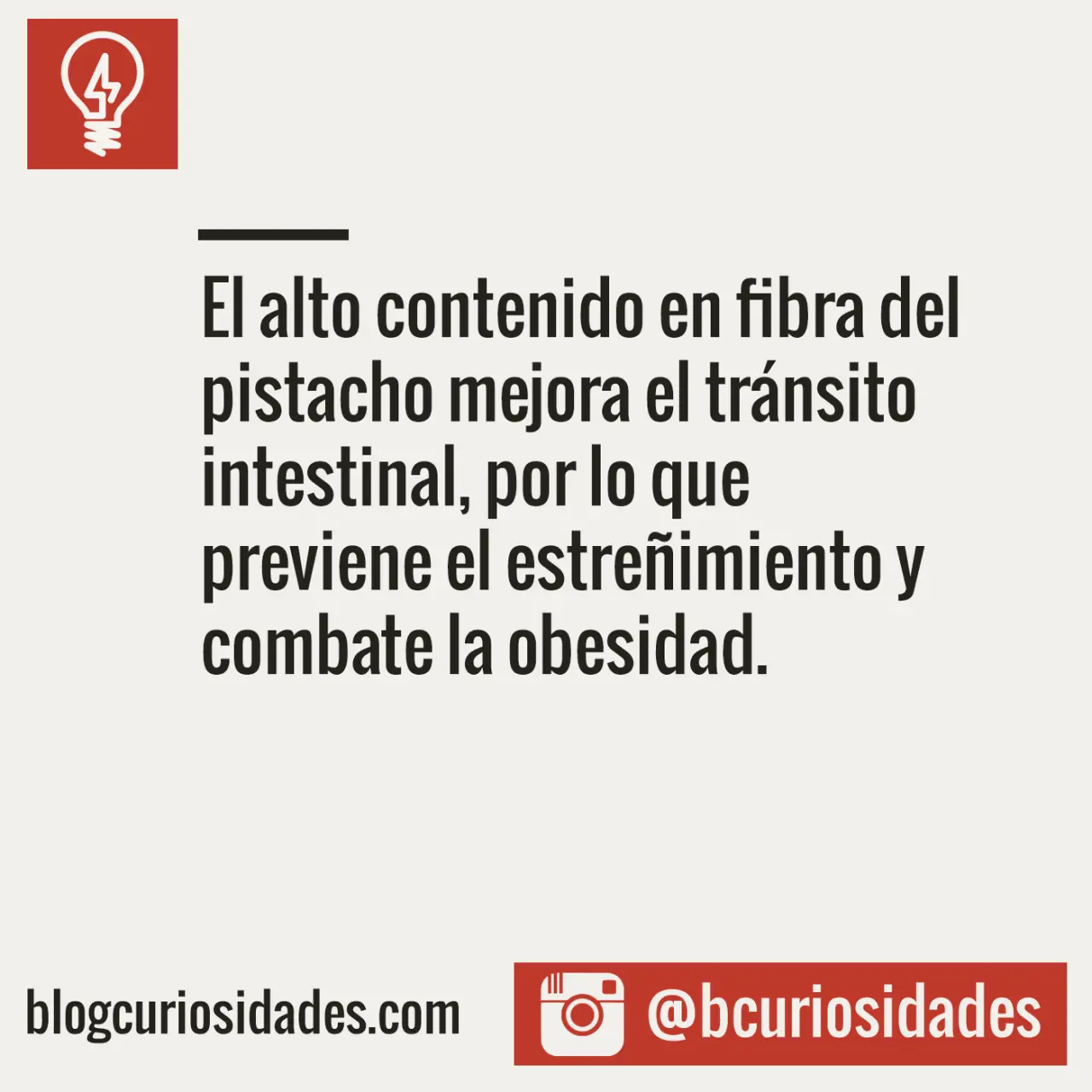 Curiosidades para todos y todas