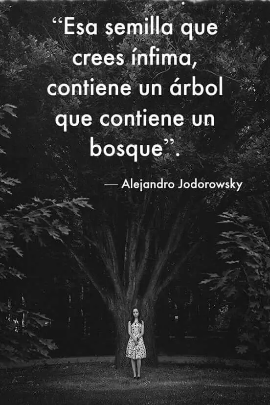 alejandro alejandro