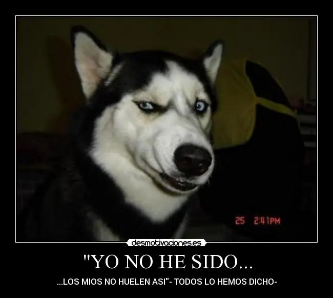 lo mejor
