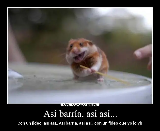 humor