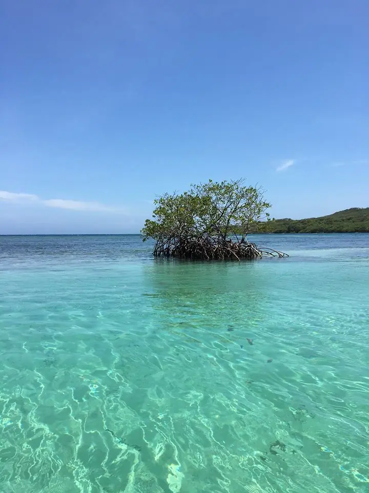 hotel roatan