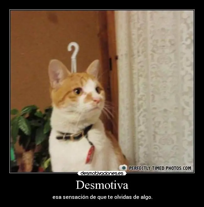 humor