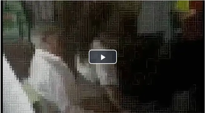 Polémica por fiesta con stripper pagada con dinero público e