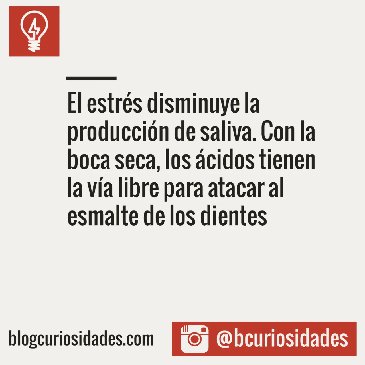 curiosidades varias
