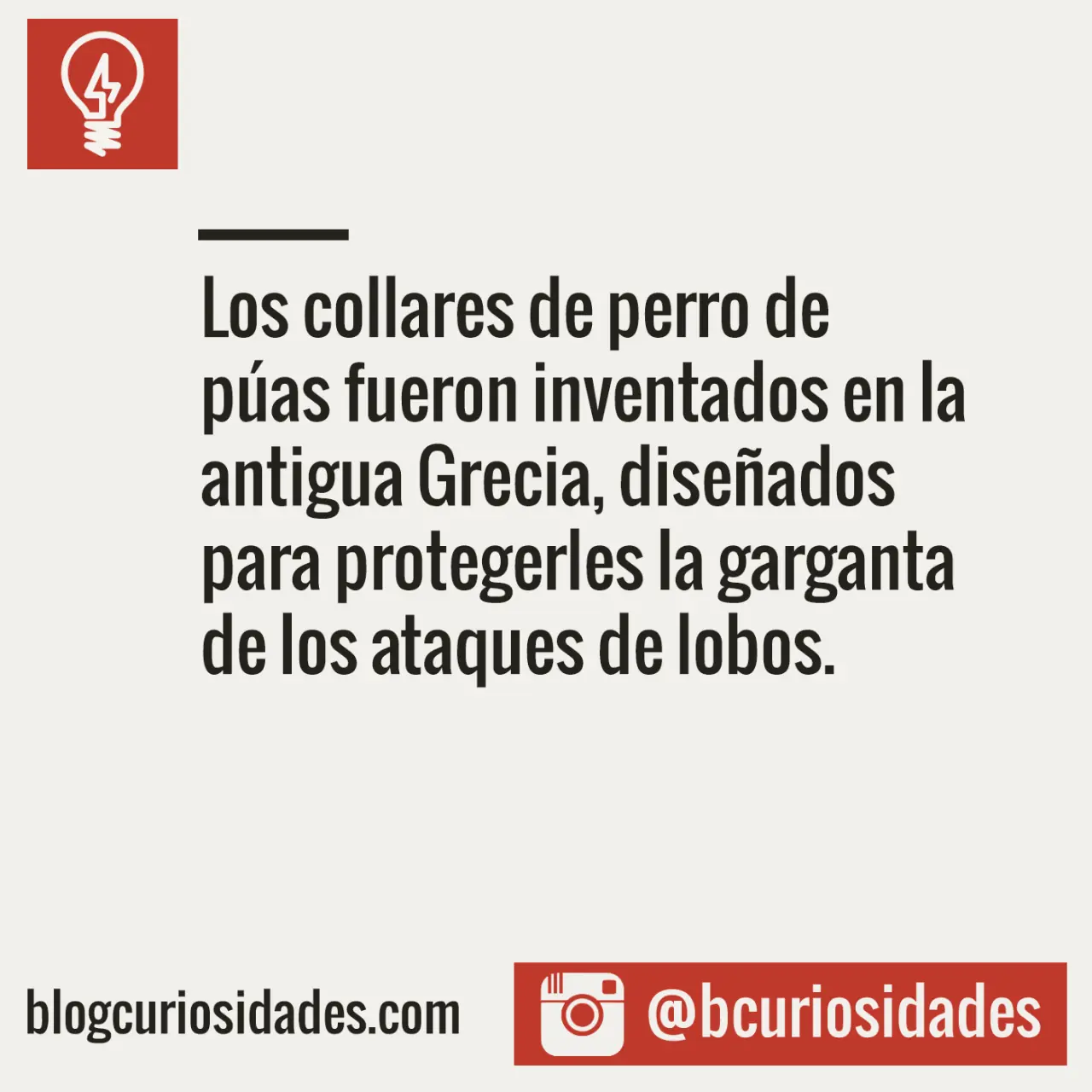 Curiosidades para todos y todas