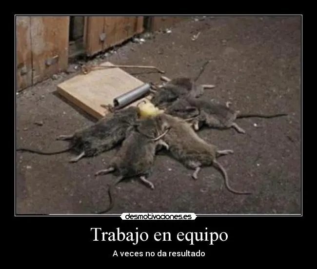 desestresate un rato veni a ver estas imagenes XDXD