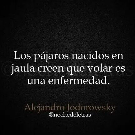 frases frases