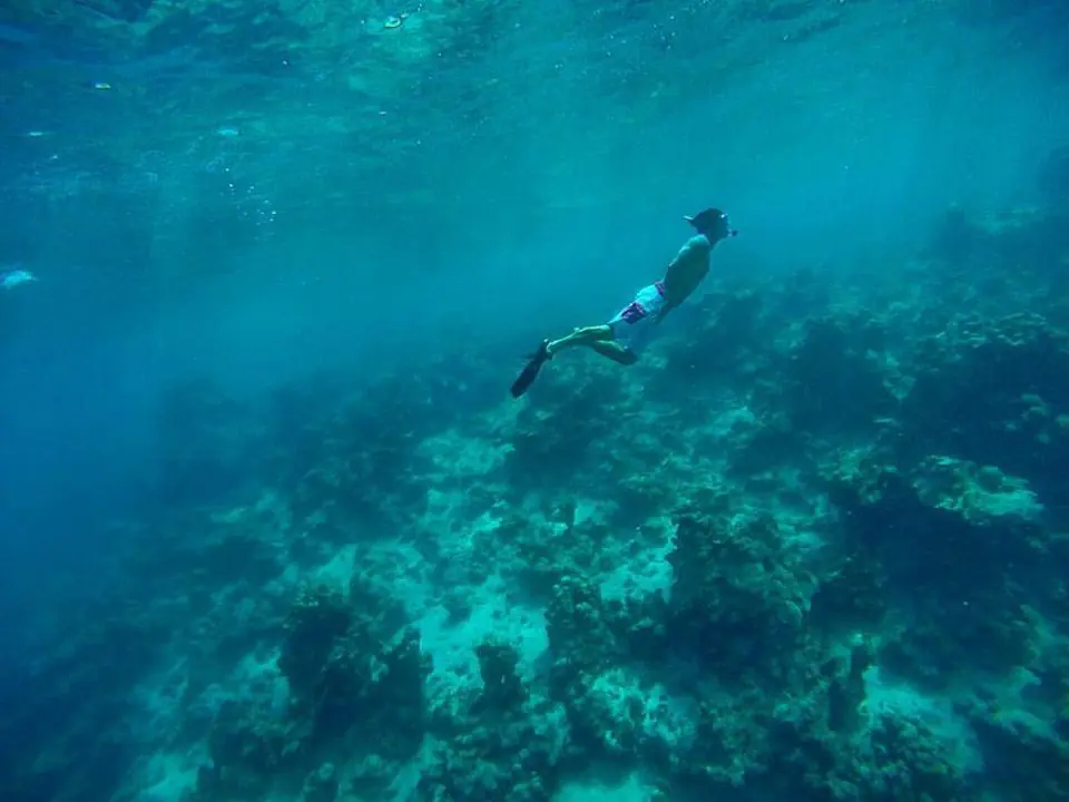 roatan honduras
