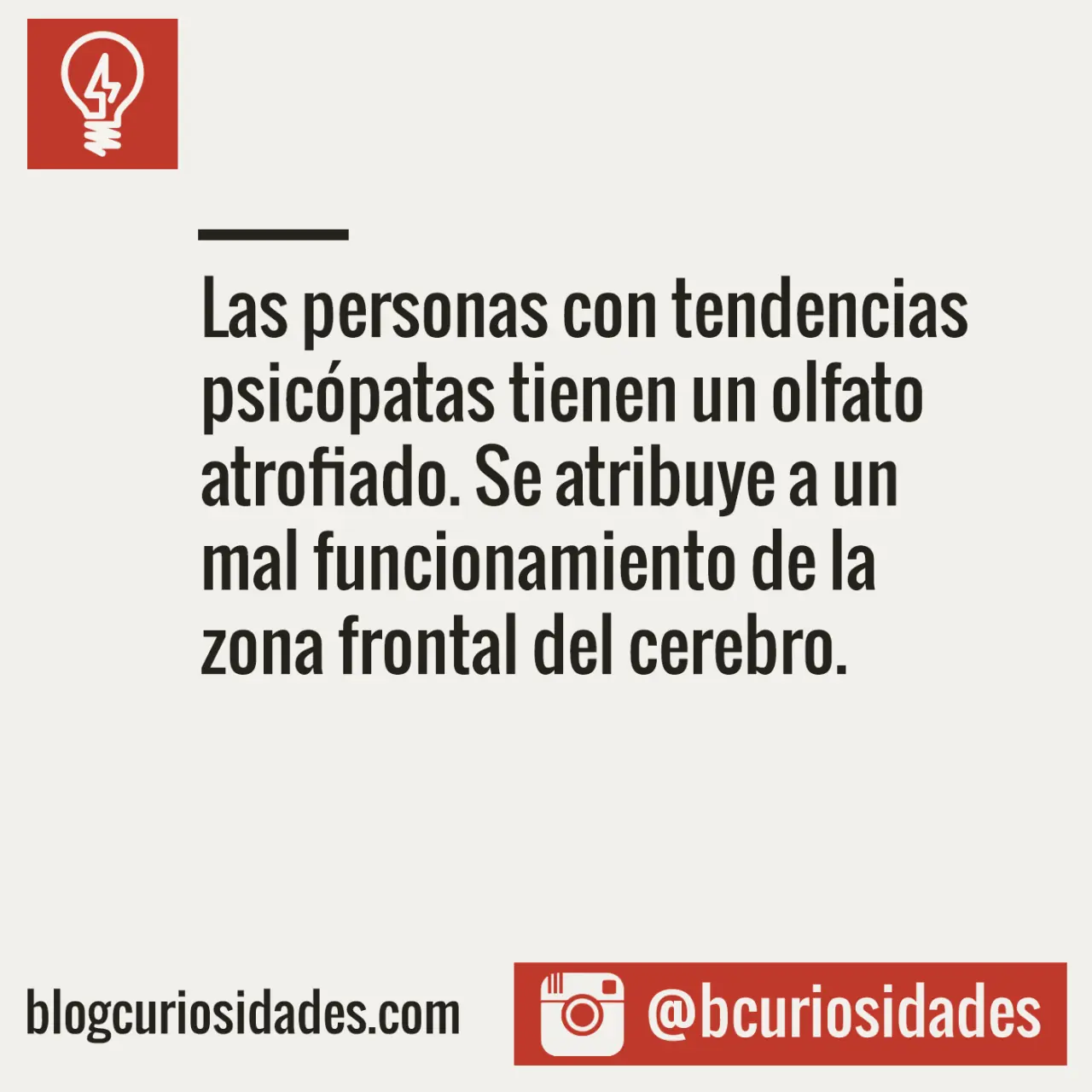 curiosidades megapost
