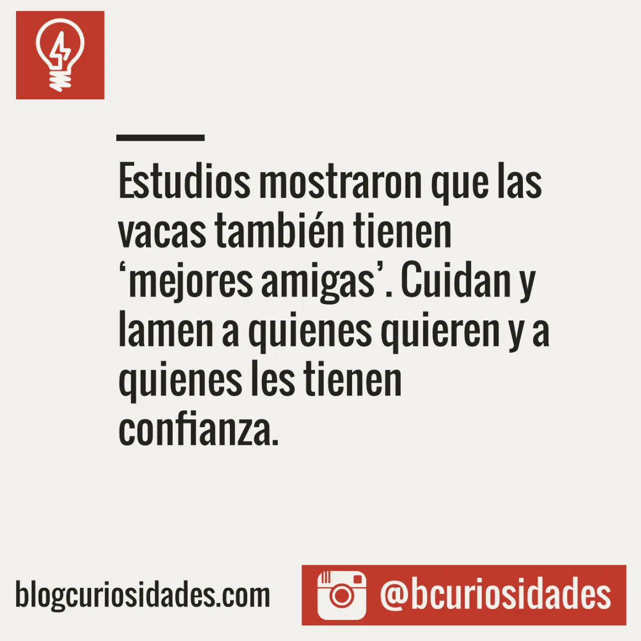 entra si sos curioso
