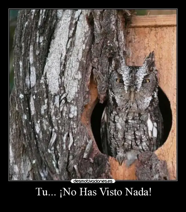 [Megapost] Humor Grafico [2da Parte]