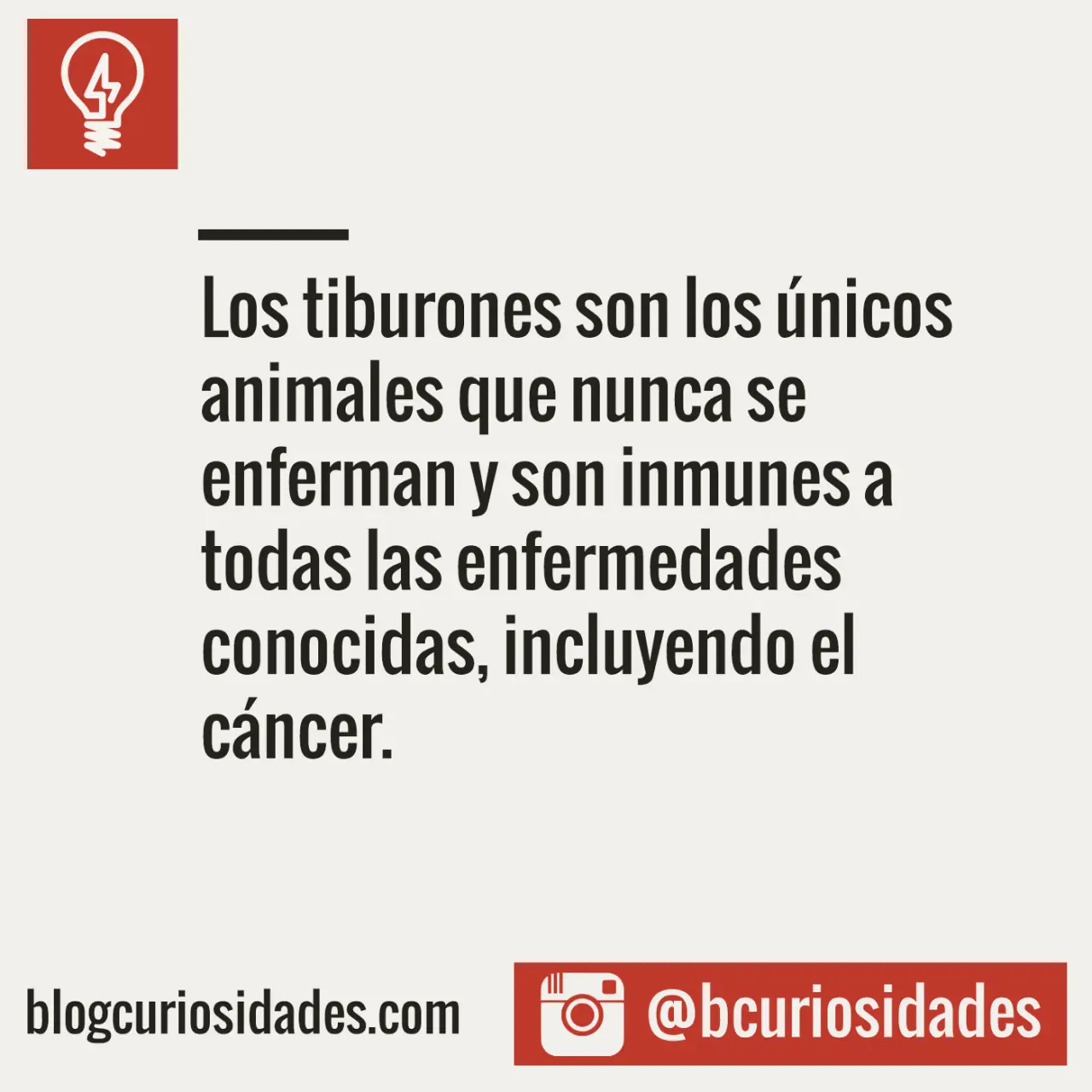 curiosidades varias