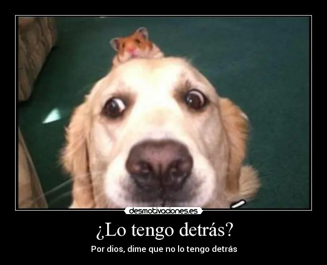 [Megapost] Humor Grafico [2da Parte]