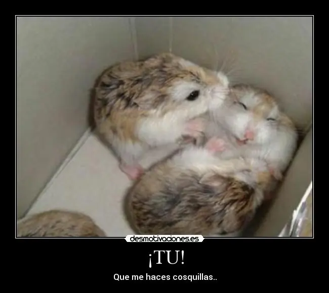 [Megapost] Humor Grafico [2da Parte]