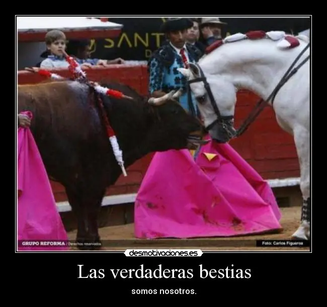 [Megapost] Humor Grafico [2da Parte]