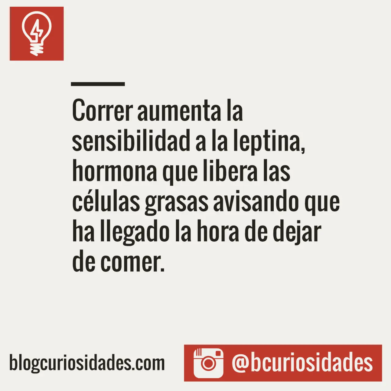 entra si sos curioso