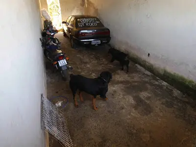 acusados