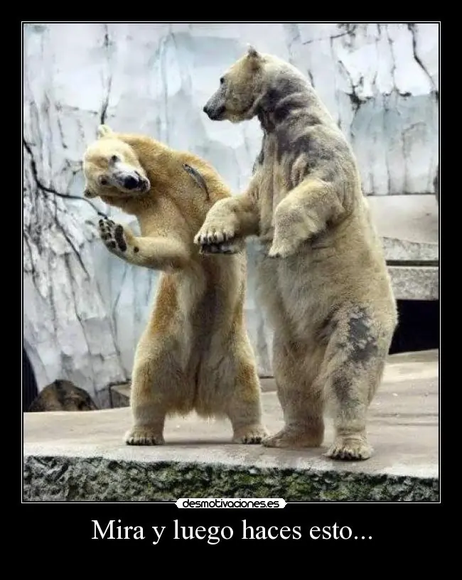 desestresate un rato veni a ver estas imagenes XDXD