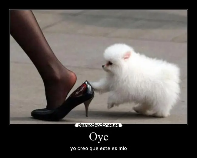 humor