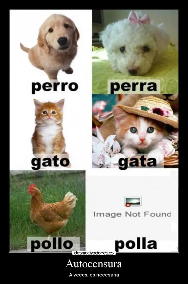 lo mejor