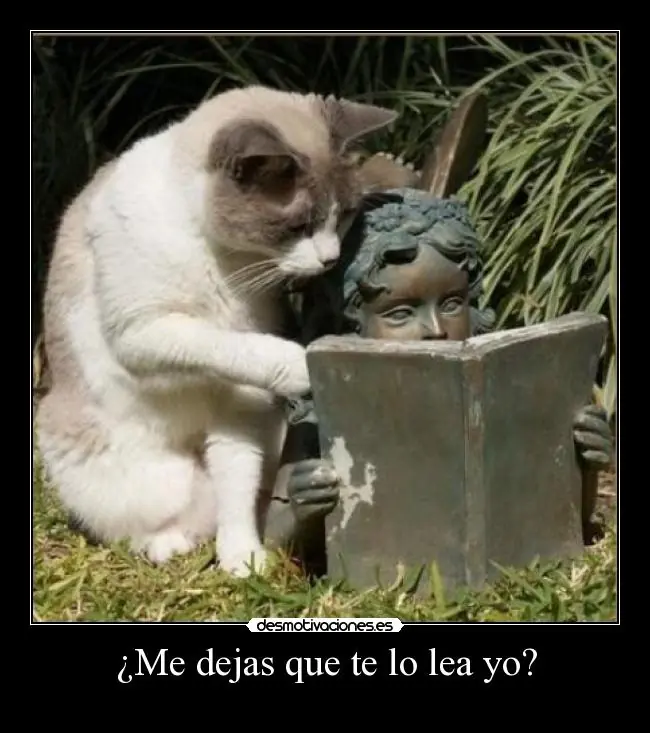 para pasar el tiempo